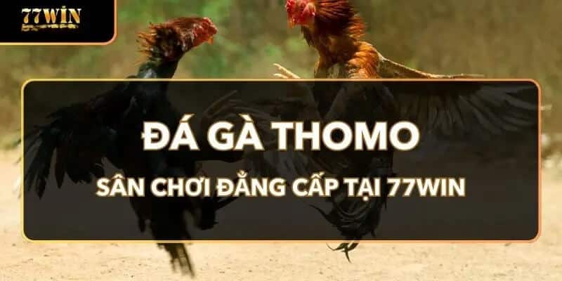 da-ga-thomo-77win-ava